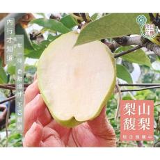 珍田梨山金牌馥梨禮盒