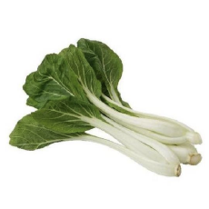 黑葉白菜-有機