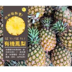 有機金鑽鳳梨