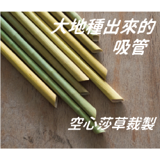 衛生環保吸管 莎草吸管 植纖吸管 無塑吸管 紫外線殺菌斜口100入量大特惠內洽