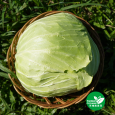 有機高麗菜