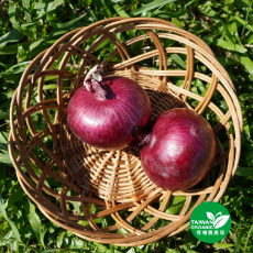 有機紫洋蔥