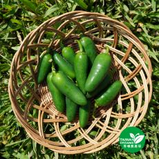 有機墨西哥辣椒