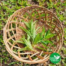 有機檸檬馬鞭草