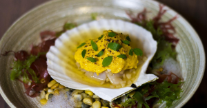 海藻背後，是風土、永續與勞動的革命（圖片來源：pixabay）