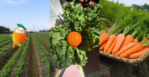 圖片提供／VDS活力東勢