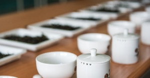 【有機茶大賞】有機茶界的米其林指南：從坪林到全台，打造出一流品牌的有機茶評選會