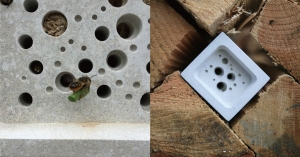 【永續設計】與蜜蜂共居!英國Bee Brick讓房屋磚塊變身獨居蜂旅館，恢復都市生物多樣性