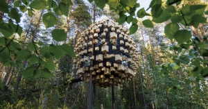 【綠建築】與鳥兒們一起度假！瑞典建築師打造的懸吊樹屋，守護鳥的生態系