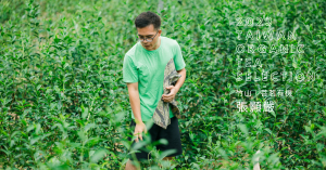 【有機臺茶的生態風土學01】有機就是有生機：張顥嚴自創土壤心法，從把茶樹種死到成為有機茶王