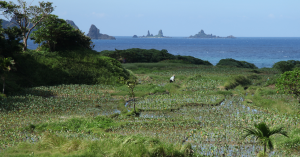 【前言】芋之島 