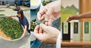 【有機’島茶 02】制度、品質、文化全面橋接 台灣有機茶的國際化之路