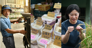 【百年稻浪05】蓬萊米的高產神話  社會學者朱華瑄：日本殖民烙印與在地米種失落的啓示