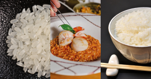 【百年稻浪09】蓬萊米佔九成的缺糧隱憂 酒米、在來米等多元米種成發展趨勢