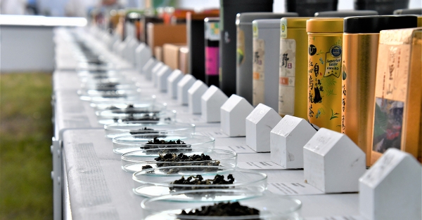 【專訪】下一個100年屬於臺灣茶的未來—專訪茶業改良場場長蘇宗振
