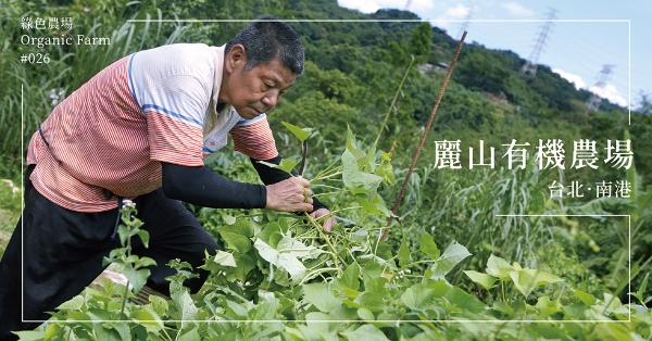 【台北南港】麗山有機農場：生機盎然的療癒田園，快樂農夫撫慰城市裡的疲憊心靈