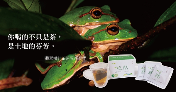 【生態保育 × 公益活動】翡翠樹蛙茶跨界新登場