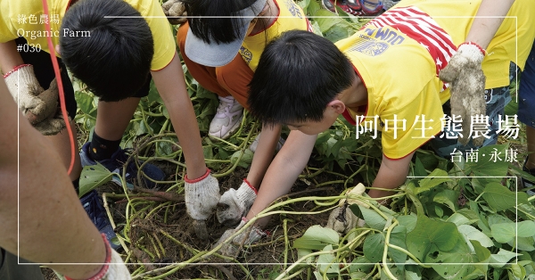 【台南永康】阿中生態農場：文化傳承、生態平衡與環境永續，工程師的農夫夢，用身體力行化為現實