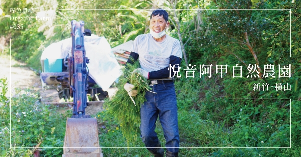 【新竹橫山】悅音阿甲自然農園：住在山的臂彎裡，含情脈脈的歸農生活