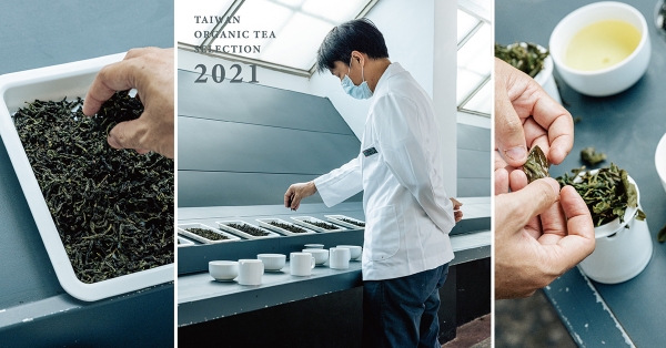 【2021有機茶大賞｜01】味覺家的養成之旅：茶葉感官品評員訓練