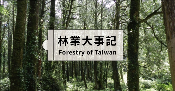 【森林素養題01】林業大事記：跟著年輪的軌跡走，看見臺灣百年林業發展