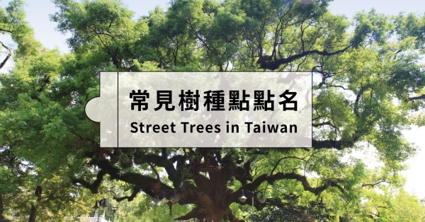 【森林素養題03】臺灣樹木群像：生活中的常見樹種點點名