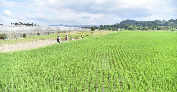 【2022當代農政論壇01】農鄉的今昔──臺灣鄉村發展的脈絡與現況