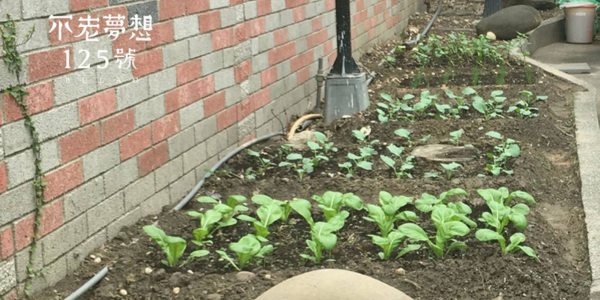 不老食光 / 不老夢想125號
