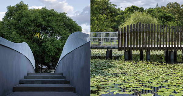 【生態系建築 01】「植生棧」與「雲山橋」：從獵人城寨遠眺山巔浮雲｜花蓮農業職業學校生態池觀察棧