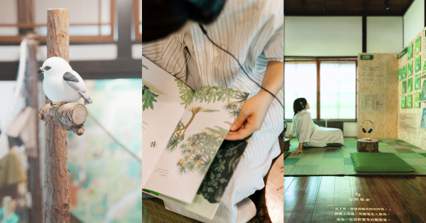 走進田野，也走進未來—— 《田裡交會的腳印》綠色保育十五週年特展，把農田帶進城市心臟地帶