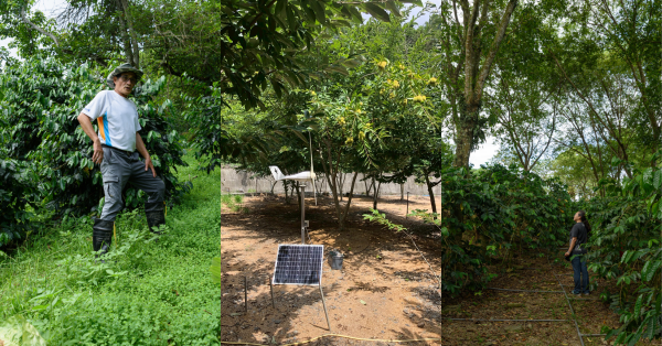 【在森林與農地之間 04】大面積單一作物國內案例