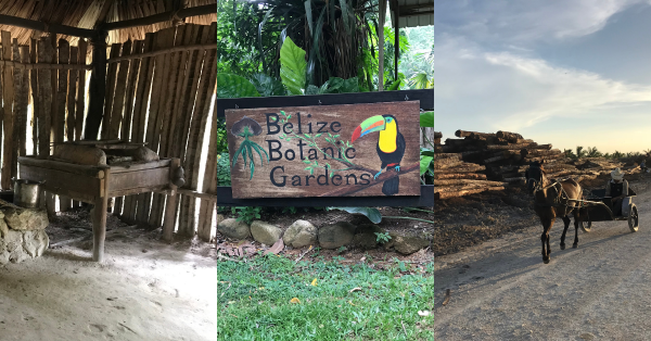 【在森林與農地之間 06】家庭農園國外案例