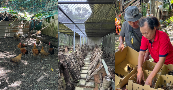 【在森林與農地之間 07】家庭農園臺灣案例