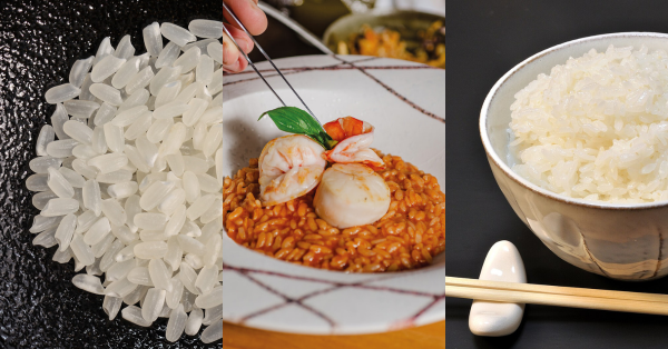 【百年稻浪09】水稻田裡蓬萊米佔九成是缺糧危機   耐熱品種、酒米、在來米、台灣燉飯米及特定族群食用低蛋白米等多元米品種是趨勢