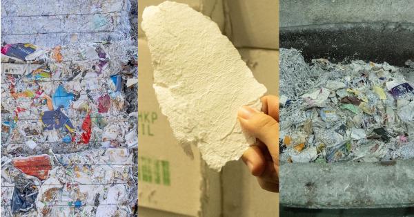 重新認識一張衛生紙：走進竹北造紙場，看見再生紙、能源與循環經濟的真實現場