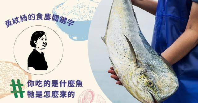 【#食農關鍵字】黃紋綺：吃對海鮮，每個人都可以守護海洋環境