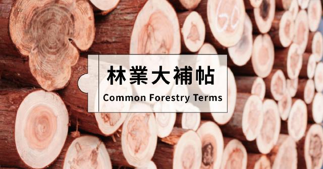 【森林素養題02】林業大補帖：發現森林關鍵字，常用名詞一次解惑