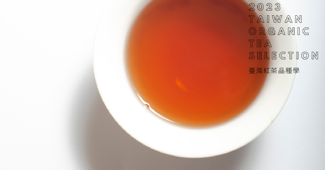【有機臺茶的生態風土學03】在紅玉和阿薩姆以外──台灣紅茶品種風味學