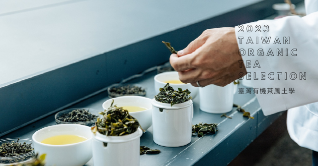 【有機臺茶的生態風土學04】台灣有機茶風土學：全台茶區「百茶爭鳴」，茶湯裡內蘊了豐富的風土故事