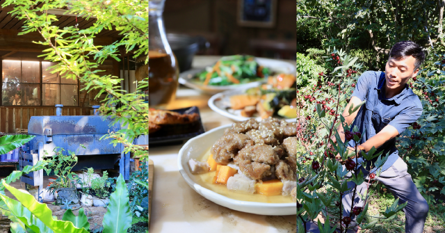 阿三哥農莊／烘焙師下田　用鋤頭守護家鄉與麝香貓