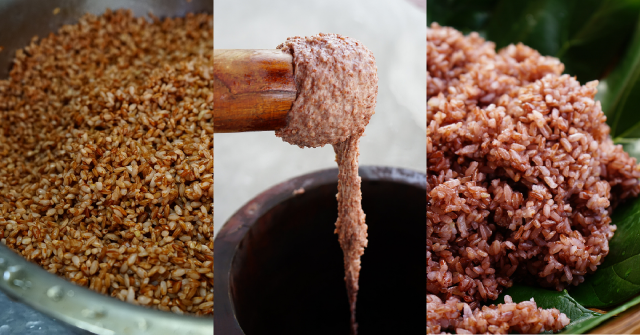 【米嶼之東 05】復育傳承的珍米：紅糯米