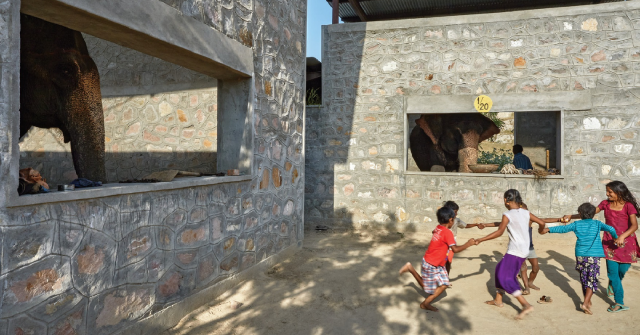 【動物視角04】沙漠象村 Hathigaon：琥珀堡山腳下的人象共生聚落實驗