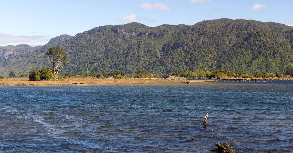 https://commons.wikimedia.org/wiki/Category:Aorere_River#/media/File:NZ020415_Collingwood.jpg