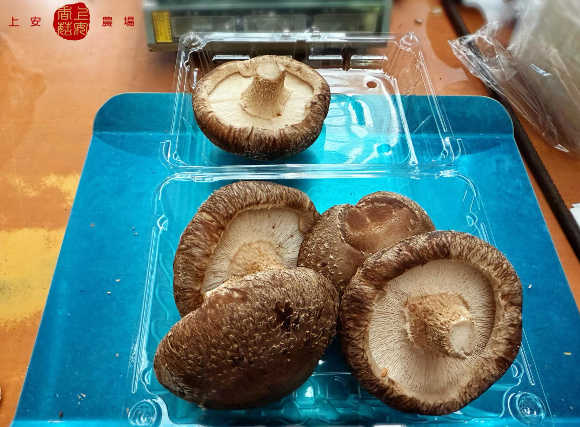 有機香菇