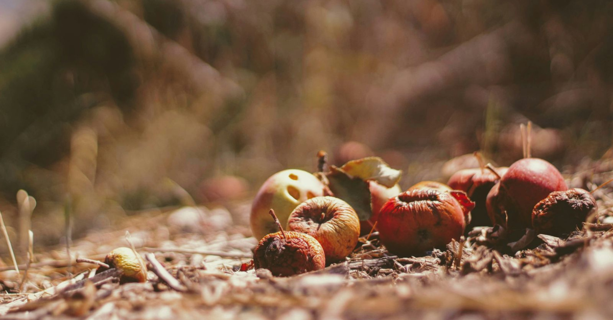 Photo Credit：Joshua Hoehne on Unsplash