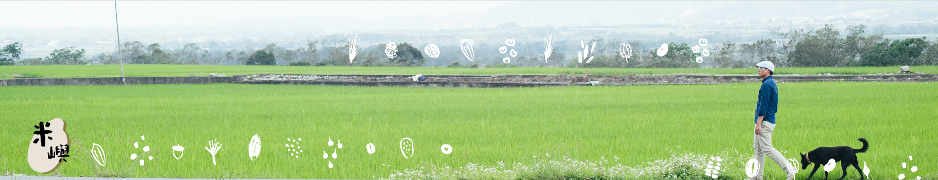 在島嶼之東，米長成自己的樣子