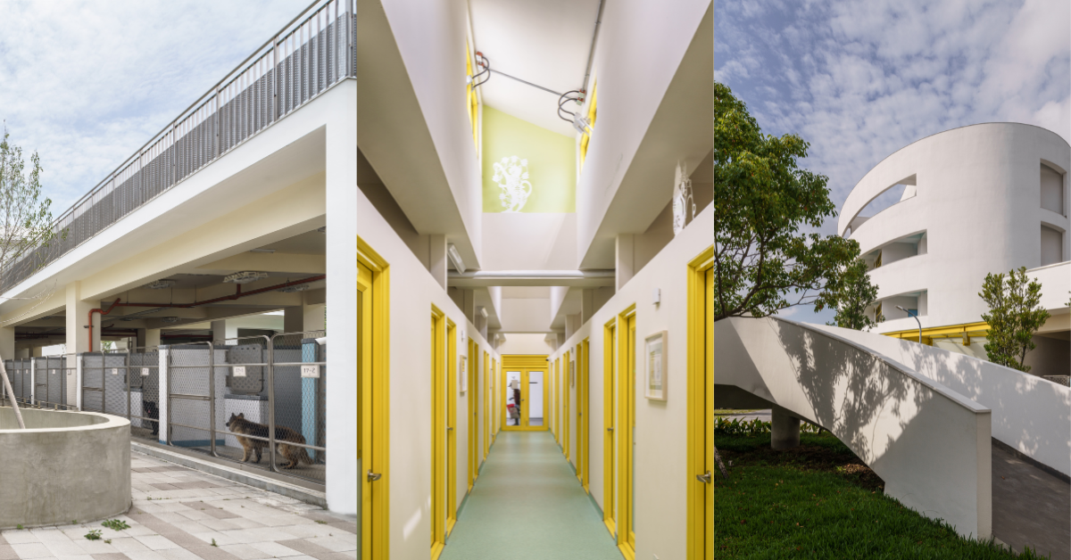 台中市動物之家后里園區，讓動物收容所不再像臨時監獄，更接近一座為動物而生的家。（攝影／李易暹攝影工作室）