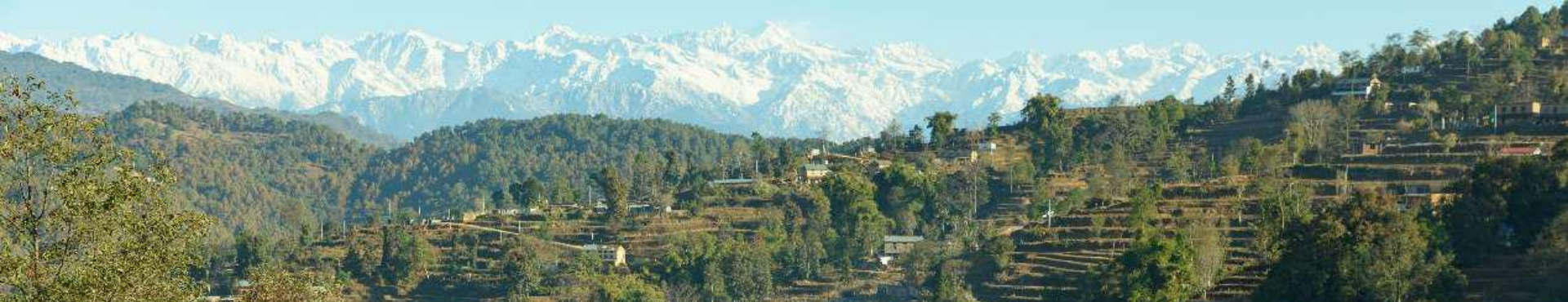 在森林與農地之間：混農林業如何重寫土地的可能