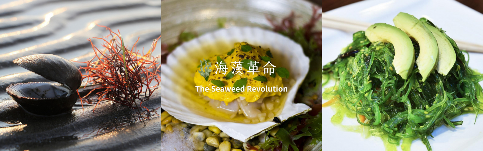 圖片名稱