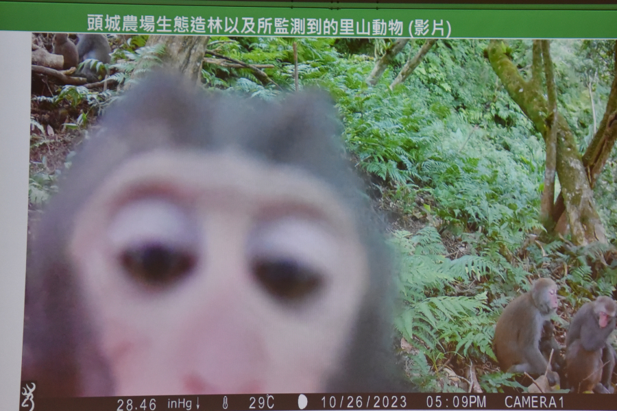 圖片名稱
